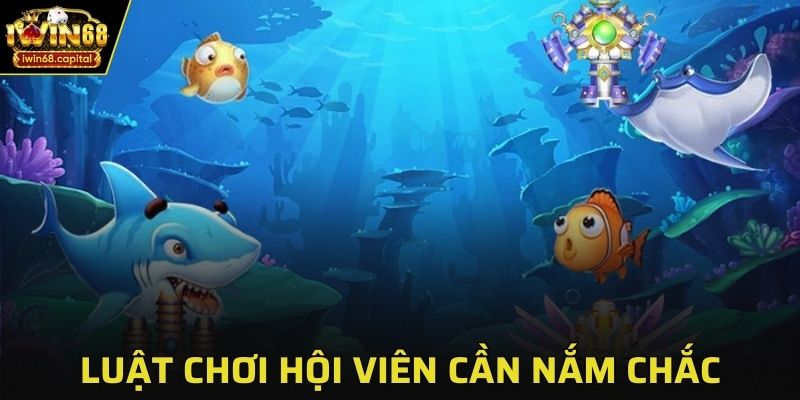 Luật chơi hội viên cần nắm chắc